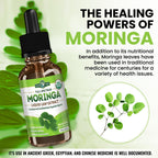 PURA VIDA Moringa Liquid Drops - USDA Organic, Bioavailable Extract