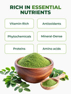 PURA VIDA Moringa Powder Organic – Single Origin Moringa Leaf Powder (USDA Organic) 8 oz