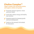 PURE SYNERGY Choline Complex | Vegan Organic Choline Supplement (60 Tablets)