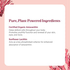 PURE SYNERGY SuperPure Astaxanthin Extract – Organic Algae Astaxanthin