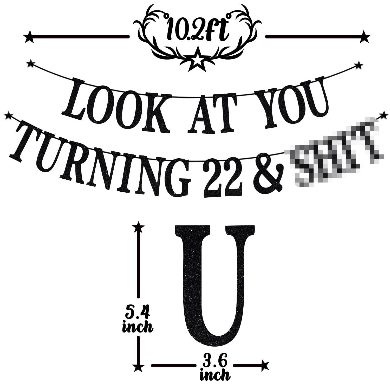 PYBHILK Black Glitter Look at You Turning 22 Banner – 22nd Birthday Decor