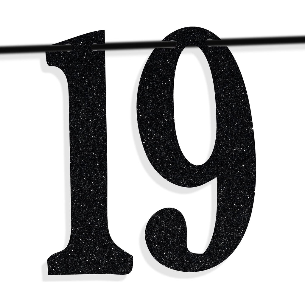 PYBHILK Black Glitter Banner – Look at You Turning 19 & Sh*t | 19th Birthday Decor