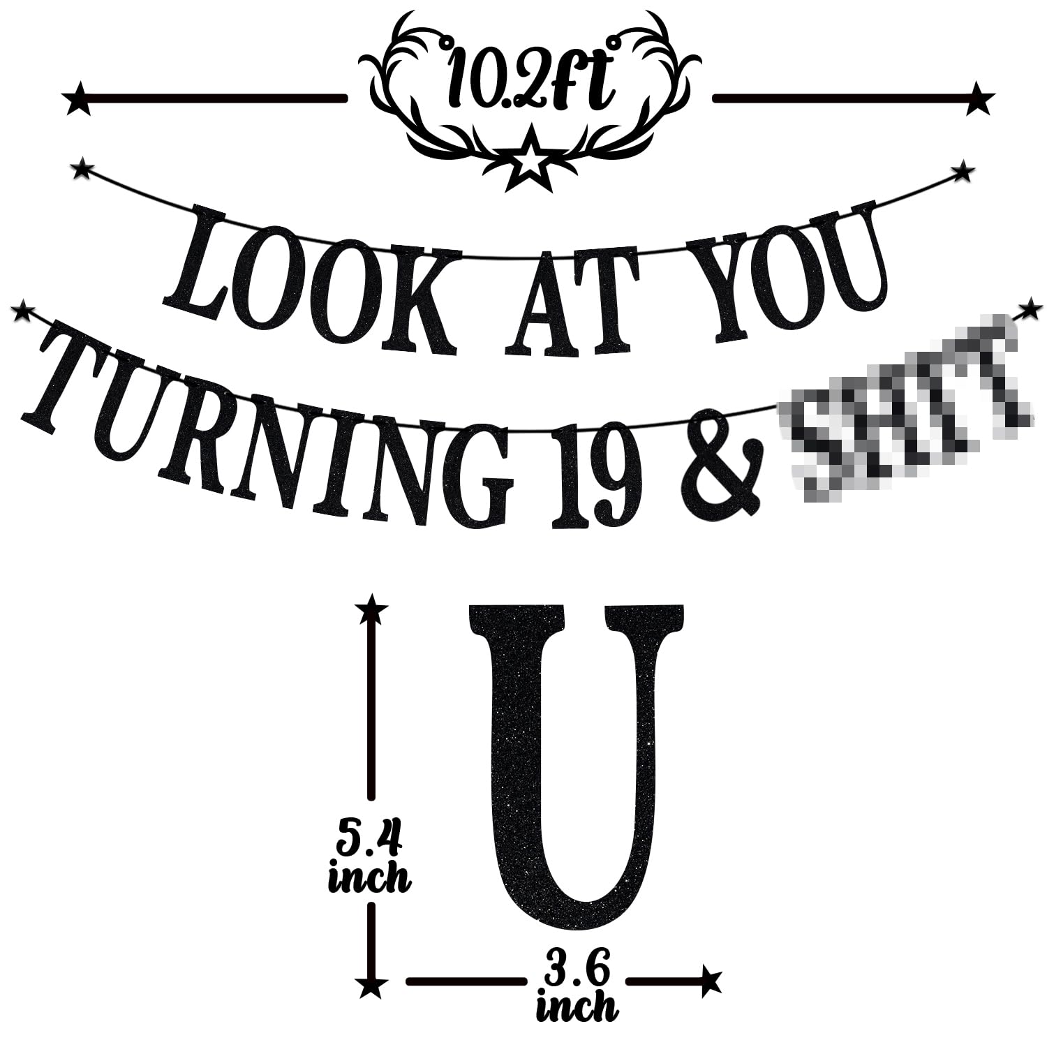 PYBHILK Black Glitter Banner – Look at You Turning 19 & Sh*t | 19th Birthday Decor