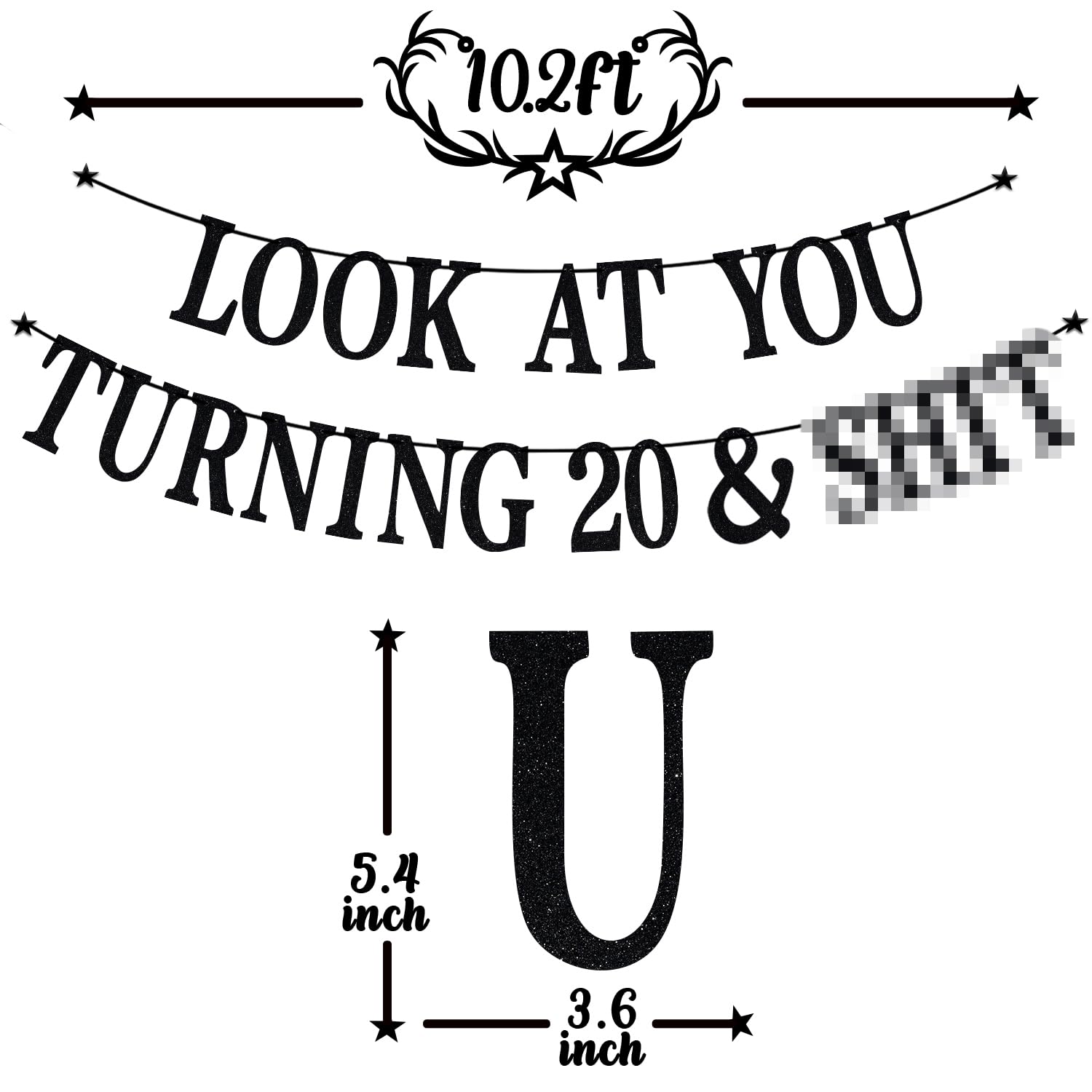 PYBHILK Black Glitter Look at You Turning 20 Banner — 20th Birthday Decor