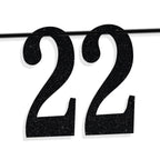 PYBHILK Black Glitter Look at You Turning 22 Banner – 22nd Birthday Decor