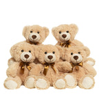 Quaakssi Teddy Bears Bulk 5 Pack – 13.5-Inch Light Brown Plush for Party Decor