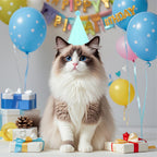 QZV 24 Pack Pastel Birthday Hats 

8-Color Cone Party Hats