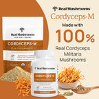 Real Mushrooms Cordyceps Capsules – Organic Cordyceps Militaris, 300 Vegan Capsules | 8% Beta-Glucans, Made in USA