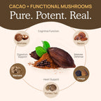 Real Mushrooms Bio-Trinkschokolade-Mix – 5 Defenders Kakao, vegan, glutenfrei