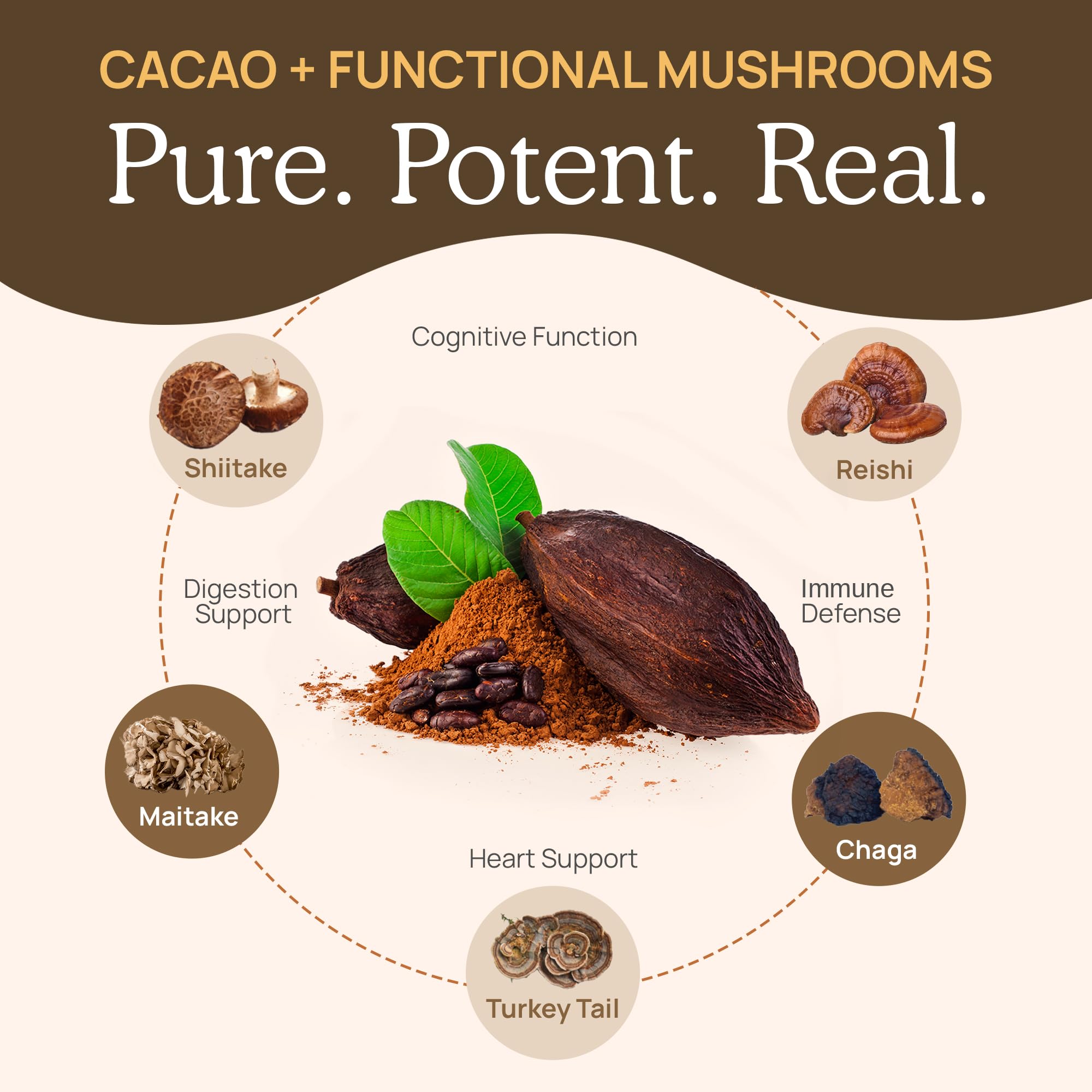 Real Mushrooms Bio-Trinkschokolade-Mix – 5 Defenders Kakao, vegan, glutenfrei
