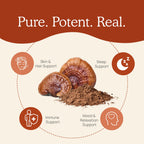 Real Mushrooms Reishi Capsules - Organic Red Reishi Extracts, 90 Ct, Vegan & Non-GMO