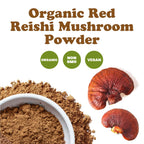 Food to Live Organic Red Reishi Mushroom Powder - 1.5 lb | Immunity & Wellness