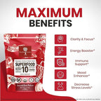 Organic Mushroom Powder Extract – 10-Mushroom Superfood Blend (14x Stronger) – 60g | USDA Immunity Booster
