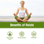 Om Mushroom Reishi Organic Powder – 100 Servings, Stress Relief & Immune Support