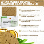 Reviva Seaweed Soap 6 Pack – Organic Exfoliating Bar for Face & Body | Made in USA