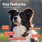 PitPat Collar GPS Tracker