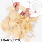 RUBFAC 129pcs Clear Balloons Kit — 18in/12in/10in/5in for Garland Arch