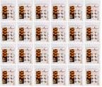 24 x Carlingford Nightlights 8Hrs 24X20 S