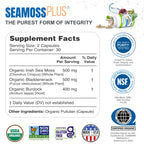 Power By Naturals Sea Moss Plus – Organic Irish Sea Moss with Bladderwrack & Burdock Root, 60 Capsules, 2 Pack