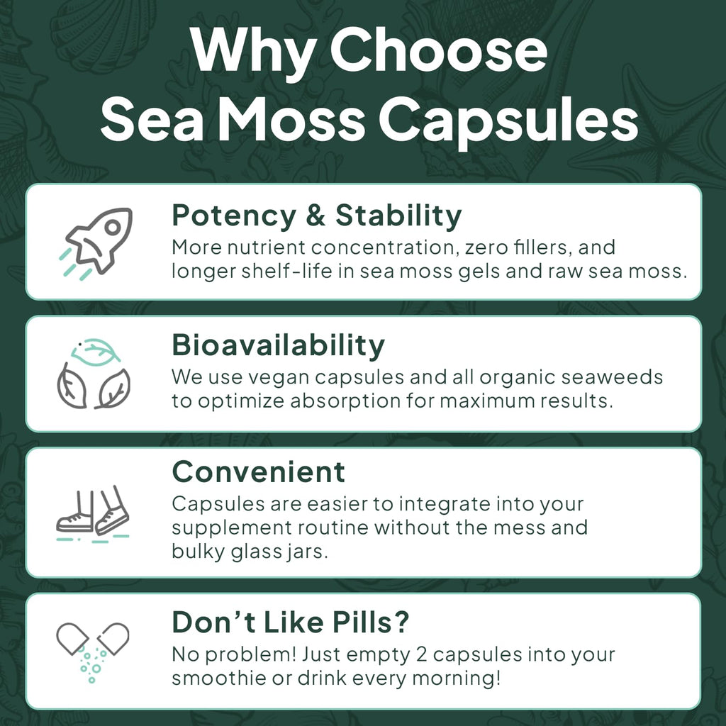 Organics Ocean Wild Meeresalgen Kapseln – 60 Kapseln | Bio Irisches Moos, Blasentang, Chlorella & Vitamin D3