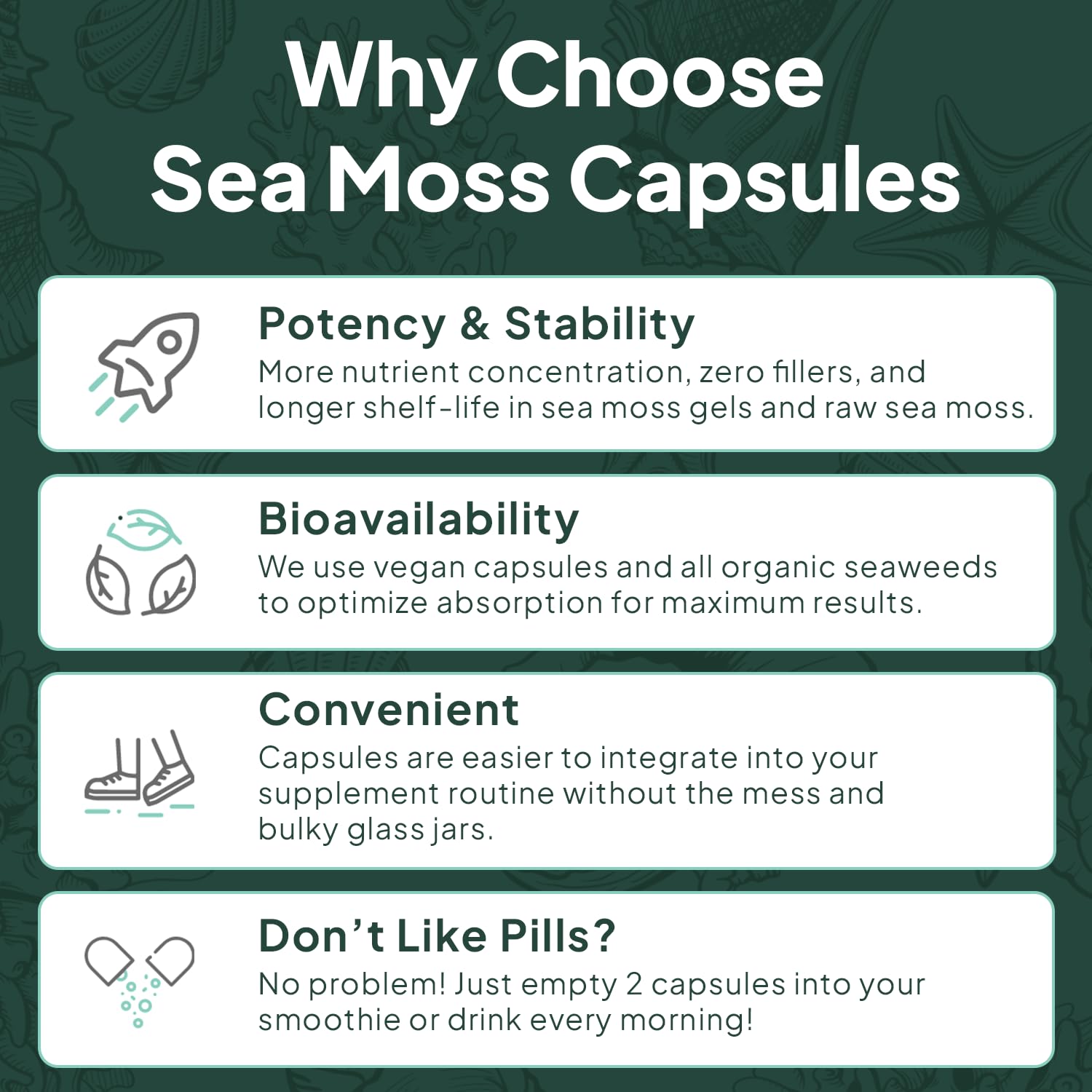 Organics Ocean Wild Meeresalgen Kapseln – 60 Kapseln | Bio Irisches Moos, Blasentang, Chlorella & Vitamin D3