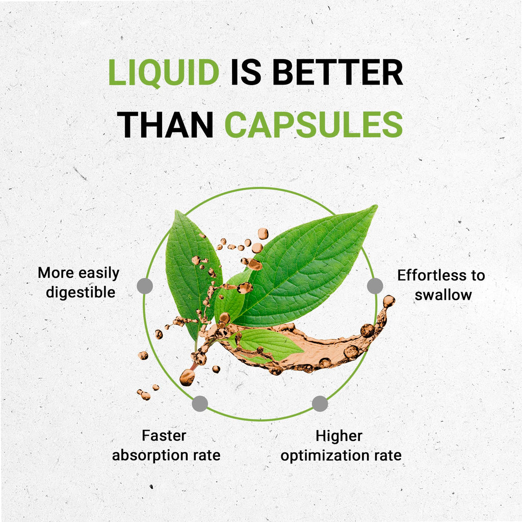 Secrets of the Tribe Boldo USDA Organic | Alcohol-Free Herbal Drops