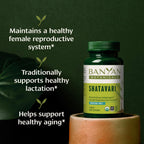 Shatavari Tablets – Organic Asparagus Racemosus Root (90 Tablets) | Vegan & Non-GMO | Banyan Botanicals