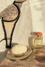 Shell Candle
