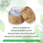 Shira Shir Organic Blueberry Night Cream – Nourished, Radiant Skin, Anti-Aging Moisturizer (50ml)