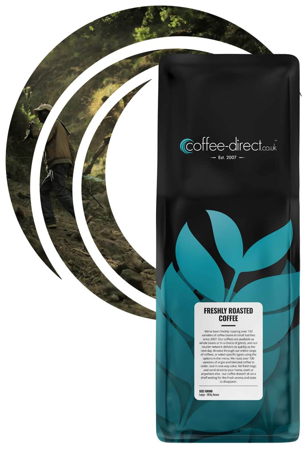 Sidamo Coffee
