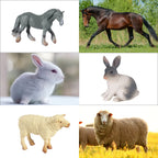 SIENON 15Pcs Farm Animal Figures — Realistic Mini Animals for Cake Toppers & Decor