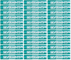 36 x Silvermints Spearmint Flavoured Sweets 30G