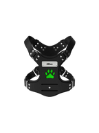 Silicone Human-Dog Harness
