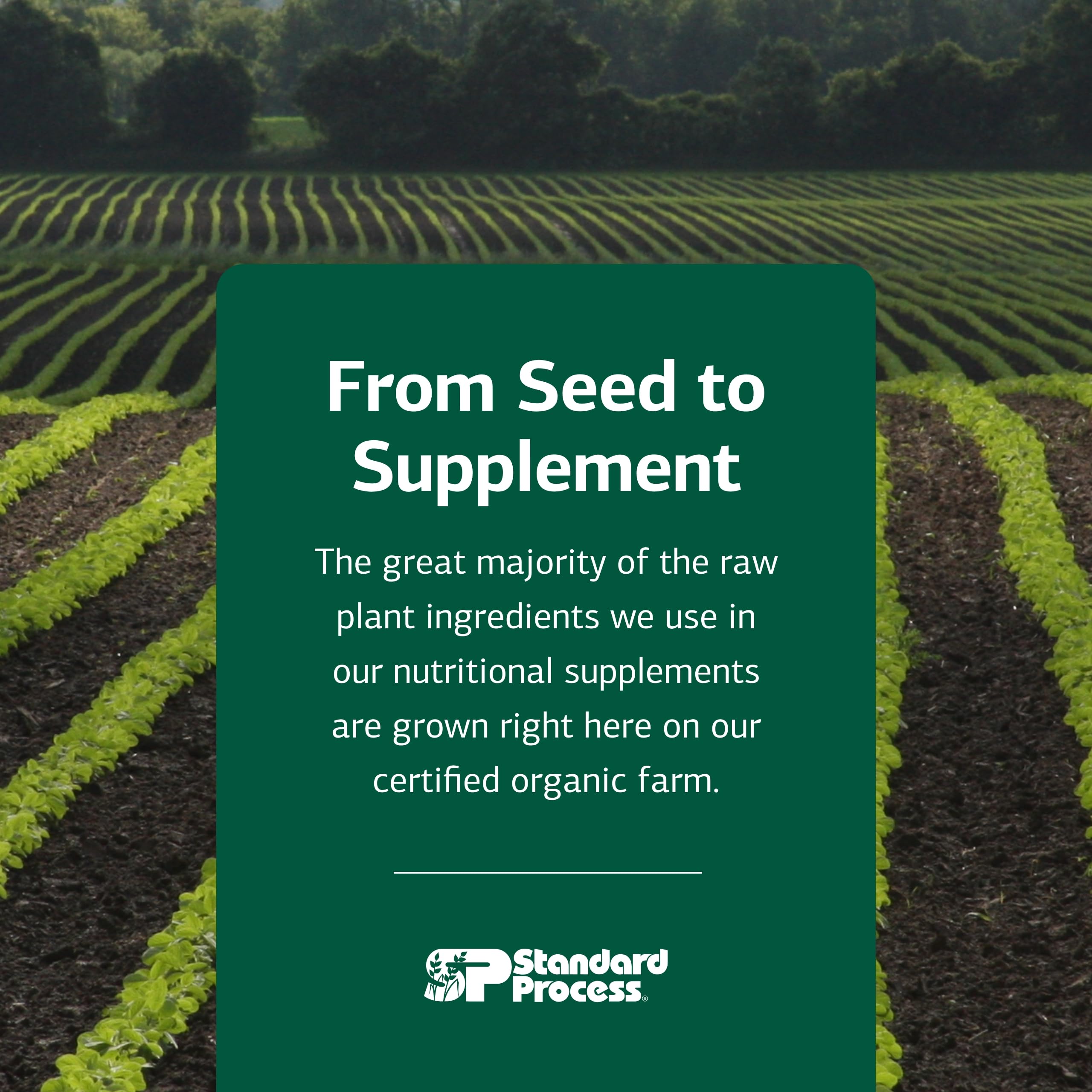 Standard Process Organically Bound Minerals - Supports Thyroid Function & Nervous System Health - 180 Tablets
