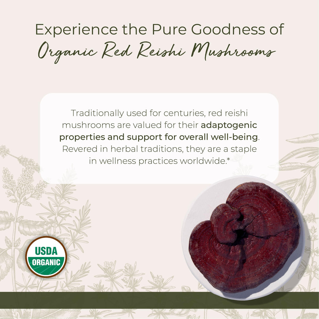 Starwest Botanicals Bio-Roter Reishi-Pilz – 113 g Beutel | Koscher, gentechnikfrei