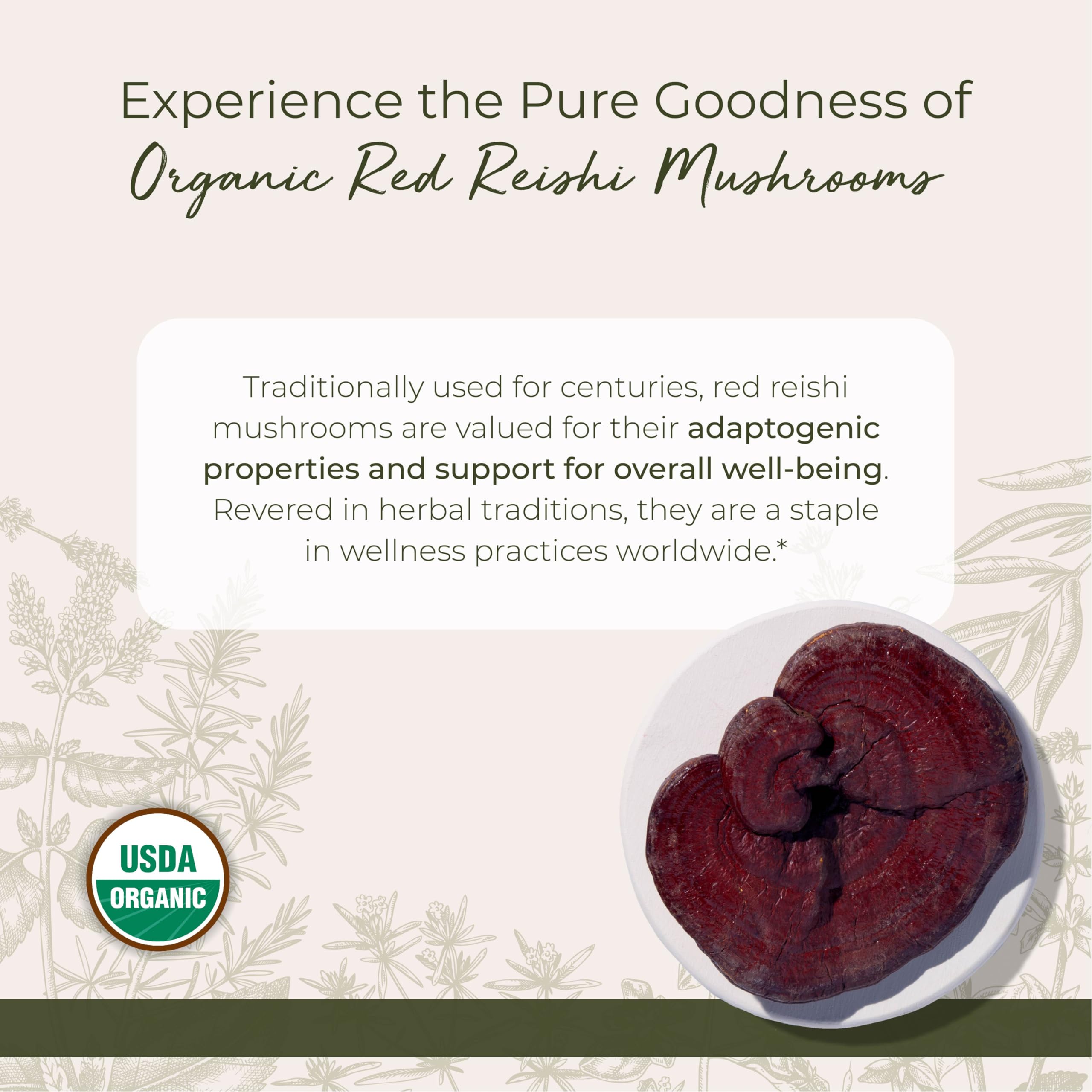 Starwest Botanicals Bio-Roter Reishi-Pilz – 113 g Beutel | Koscher, gentechnikfrei