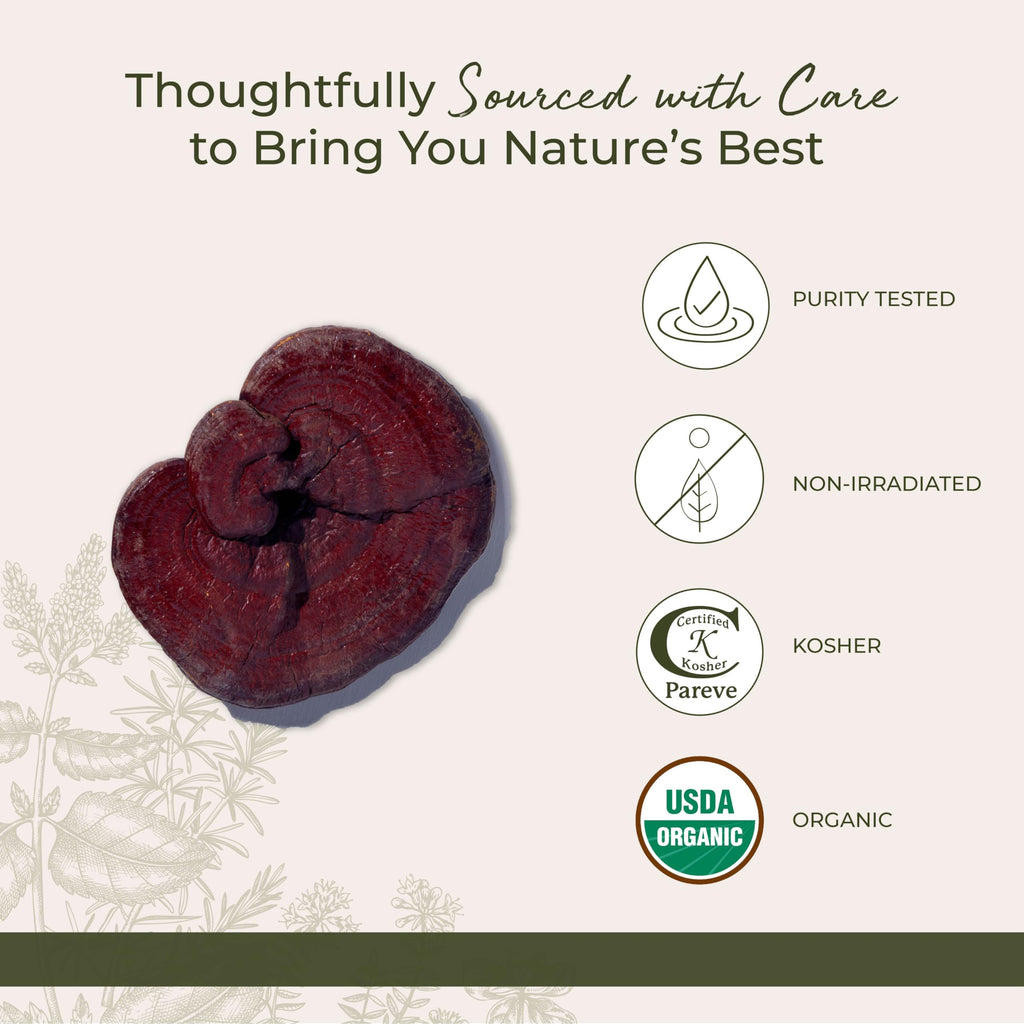 Starwest Botanicals Bio-Roter Reishi-Pilz – 113 g Beutel | Koscher, gentechnikfrei