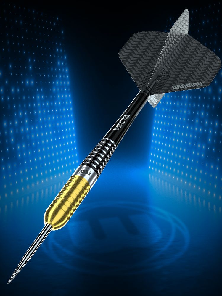 Winmau Steve Beaton S.E. 90% Darts