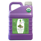 SVA Castor Seed Oi Organic Oil - 32 Fl Oz | 100% Natural Cold-Pressed Castor Oil for Face, Skin, Hair, Scalp & Body