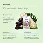 Tend Daily Prenatal-Vitamin-Riegel – Bio DHA & Folsäure (Schokolade Meersalz, 7 Stück)