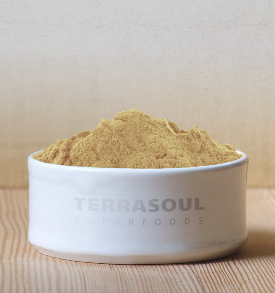 Terrasoul Organic Amla Beerenpulver (Amalaki) – 907 g, Vitamin C & Immununterstützung