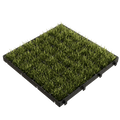 Grass Parking Grids
