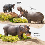 THINKBAY 4PCS Hippo Safari Figurines – Realistic Hippos & Cubs for Kids, Cake Toppers & Gifts