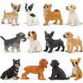 Toymany 12PCS Mini Dog Figurines Set – Hand-Painted Puppies for Play, Cake Toppers & Gifts