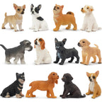 Toymany 12PCS Mini Dog Figurines Set – Hand-Painted Puppies for Play, Cake Toppers & Gifts