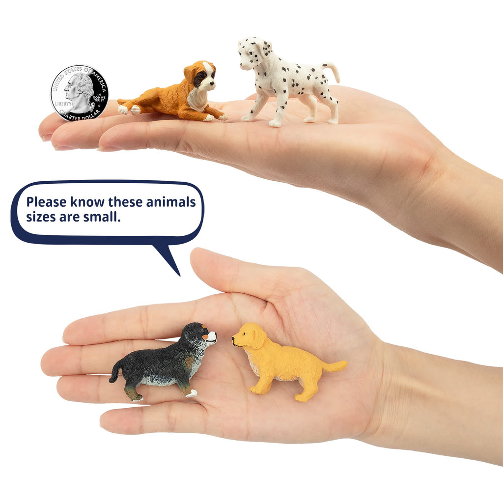 Toymany 12PCS Mini Dog Figurines Playset – Realistic Hand-Painted Puppy Figures for Cake Toppers & Kids’ Gifts