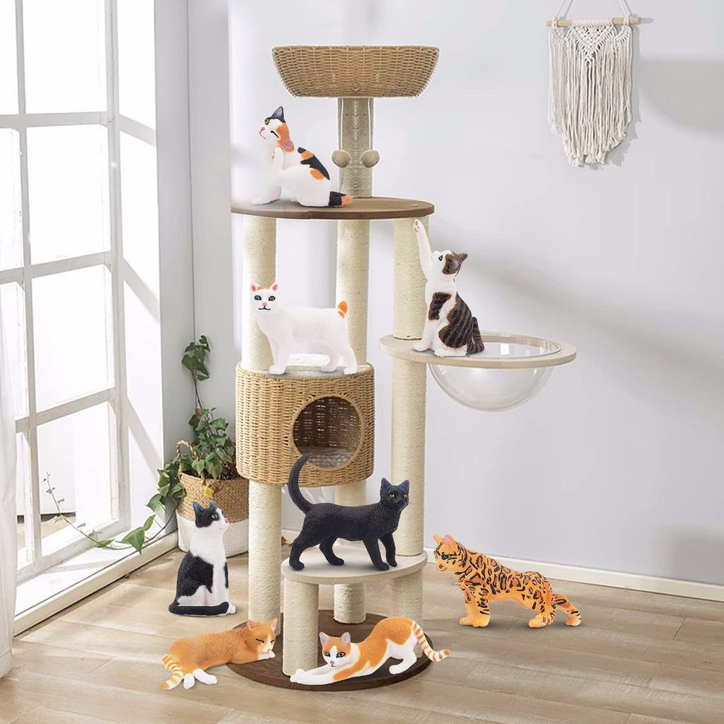 Toymany 8PCS Realistic Cat Figurines Set — Educational Cat Figures for Kids 3+ | Cake Toppers & Gifts