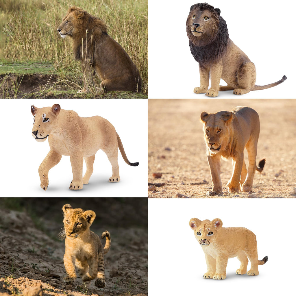 Toymany 6Pcs Realistic Lion Figurines – Lions Family Playset for Kids, Cake Toppers & Educational Toy