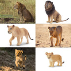 Toymany 6Pcs Realistic Lion Figurines – Lions Family Playset for Kids, Cake Toppers & Educational Toy