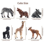Toymany 12Pcs Forest Animal Figurines | Realistic Woodland Creatures for Cake Toppers & Play